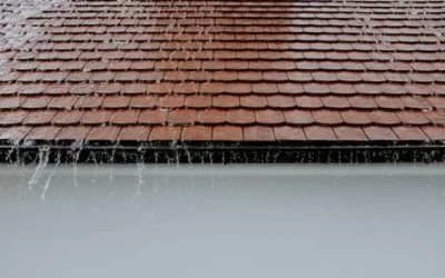 Key Signs That Your Residential Roof Needs Professional Attention