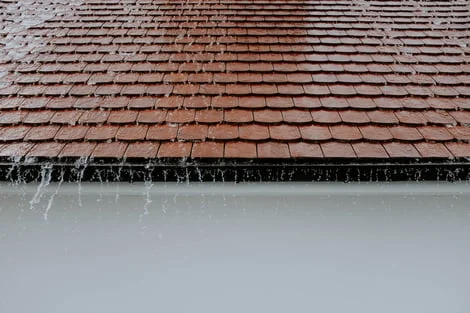 Key Signs That Your Residential Roof Needs Professional Attention